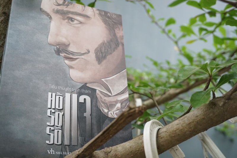 ho-so-so-113-giai-ma-bi-kich-tinh-yeu-va-long-tham-qua-lang-kinh-tam-ly-toi-pham-alotruyenchu-com-23-4