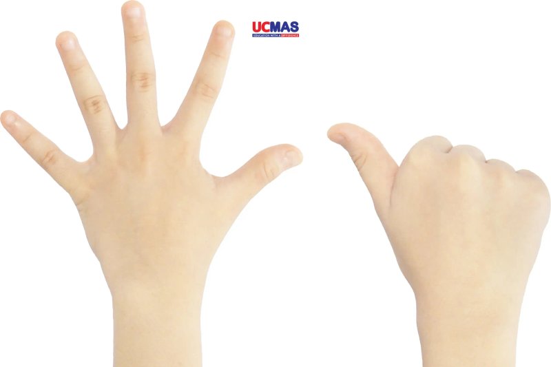 so-sanh-toan-tu-duy-ucmas-finger-math-soroban-chon-phuong-phap-nao-alotruyenchu-com-24-2