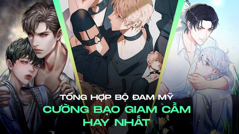 tong-hop-dam-my-cuong-bao-giam-cam-danh-gia-va-phan-loai-theo-muc-do-cuong-do-alotruyenchu-com-21-1